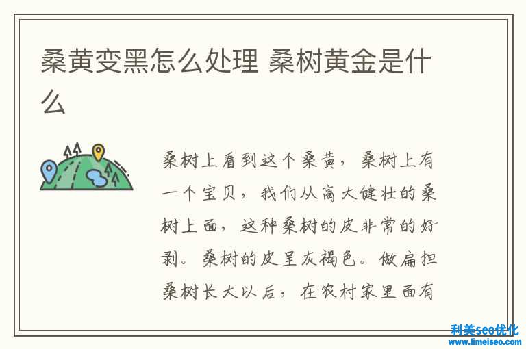 桑黃變黑怎樣解決 桑樹黃金是什么