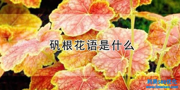 礬根的花語(yǔ)