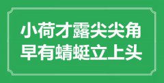 “小荷才露尖尖角，早有蜻蜓立上頭”是什么意思_出處是哪里