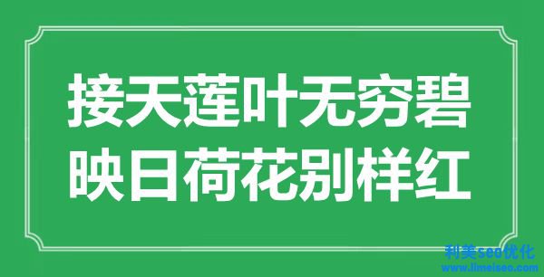 ““接天蓮葉無(wú)量碧，映日荷花別樣紅”是什么意思_出處是哪里