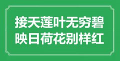 “接天蓮葉無窮碧，映日荷花別樣紅”是什么意思_出處是哪里